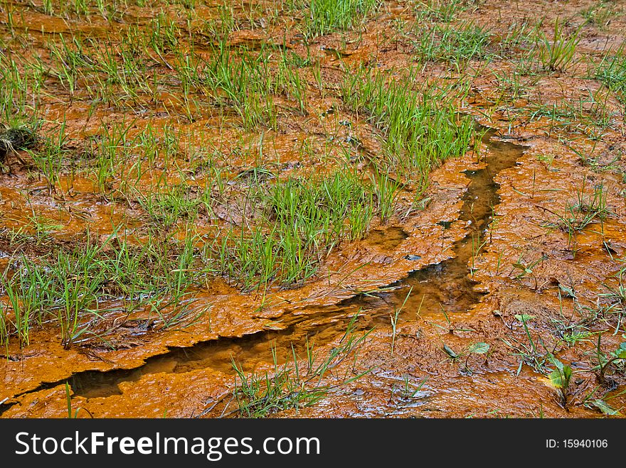 Ferrous creek in a mining area. Ferrous creek in a mining area