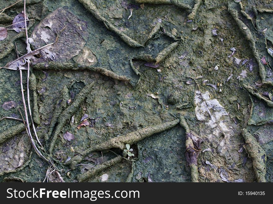 Texture of mud floor, dirty, wet, muddy