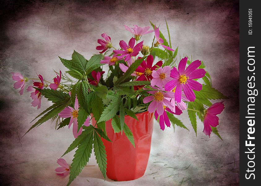 The leaves of hemp and pink flowers stand in glass. The leaves of hemp and pink flowers stand in glass