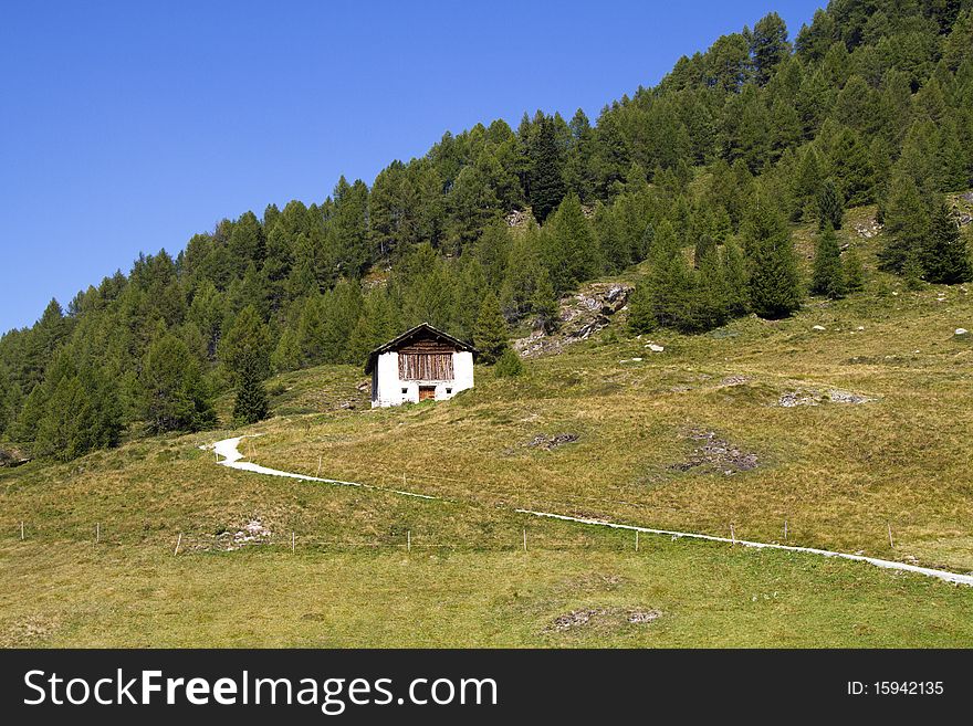 House In The Meadow