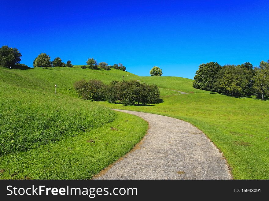 Green meadow with sunbeams, path and forest in sommer, Munich