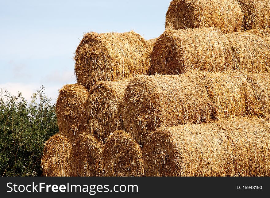 Straw stack wood for animal feed. Straw stack wood for animal feed