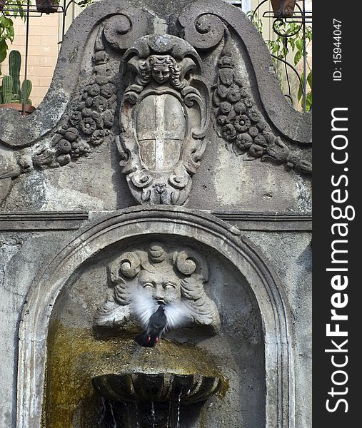 Fountain in a small italian village. Fountain in a small italian village