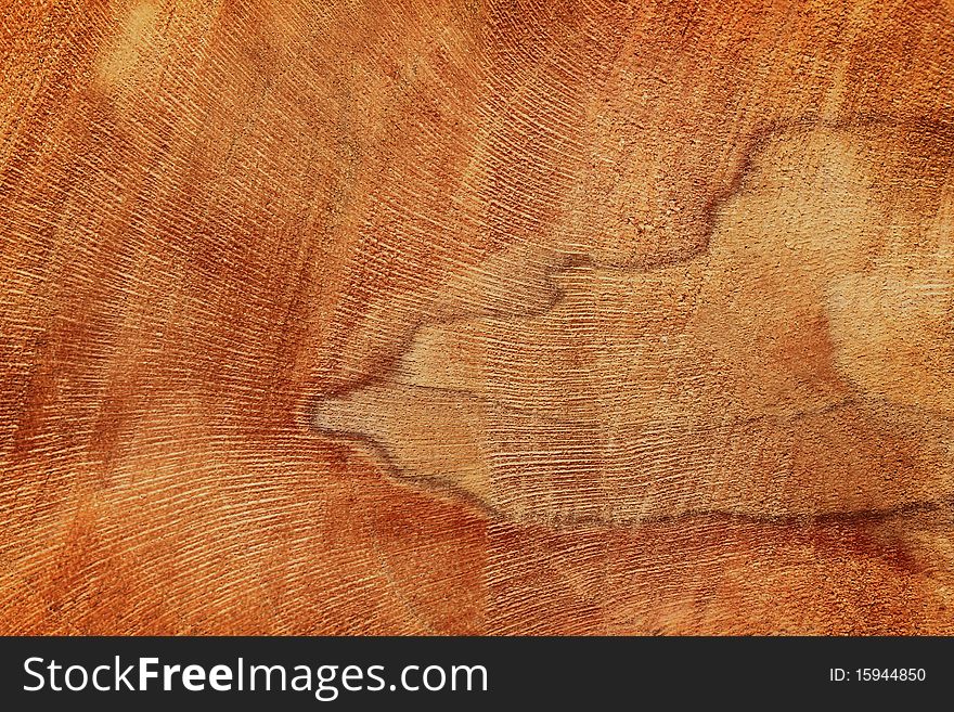 Wood Texture