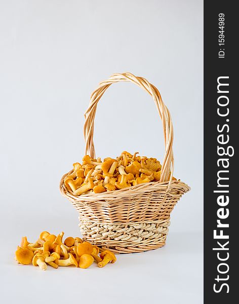 Chanterelle mushroom in the wicker basket on the white background