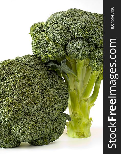 Fresh green sprouting broccoli on the white background. Fresh green sprouting broccoli on the white background