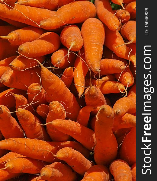 Fresh carrots on a market.