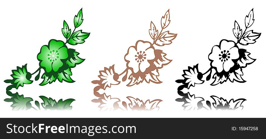 Vector floral design elements for background