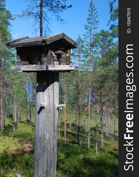 Wooden Rack For Wild Birds In Finnish Forest