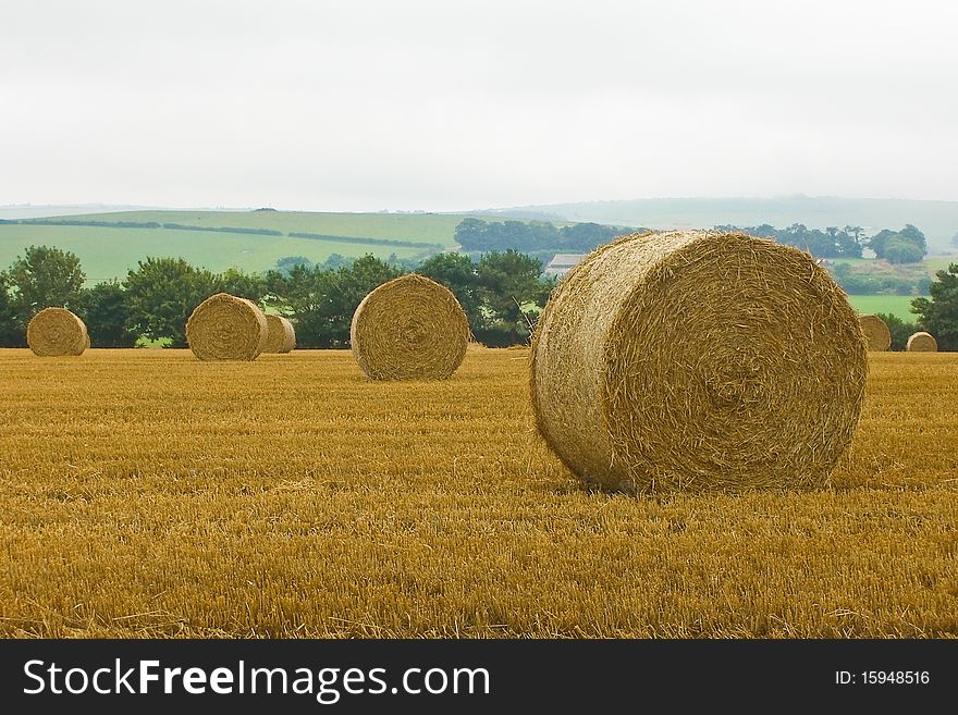 Straw bales in the field in South England countryside