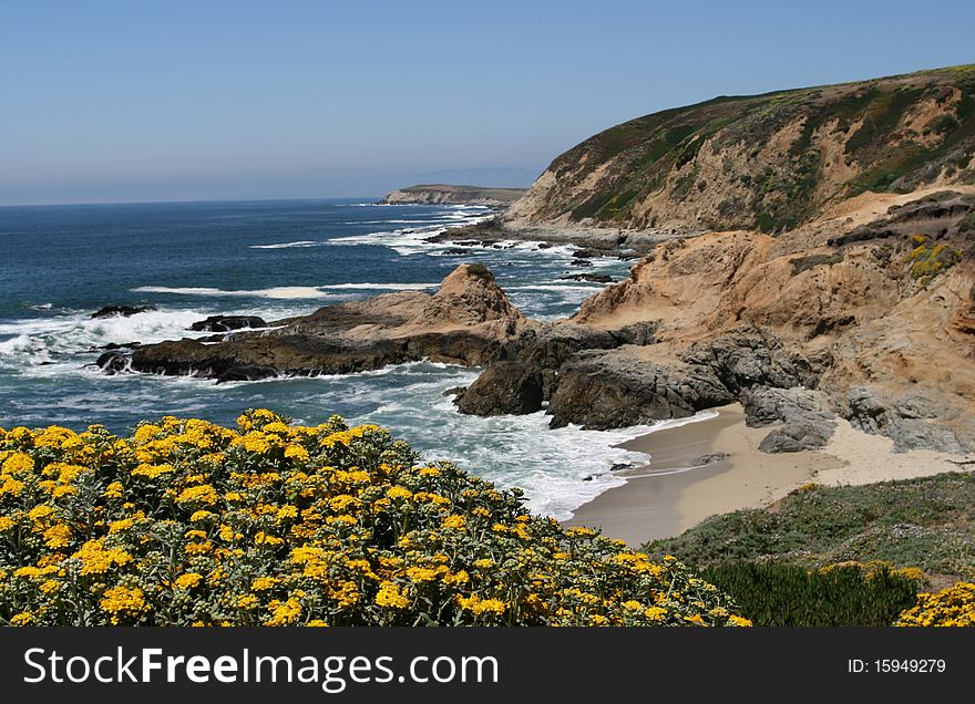 Picture represents the coastline of California (Bodega Bay). Picture represents the coastline of California (Bodega Bay)