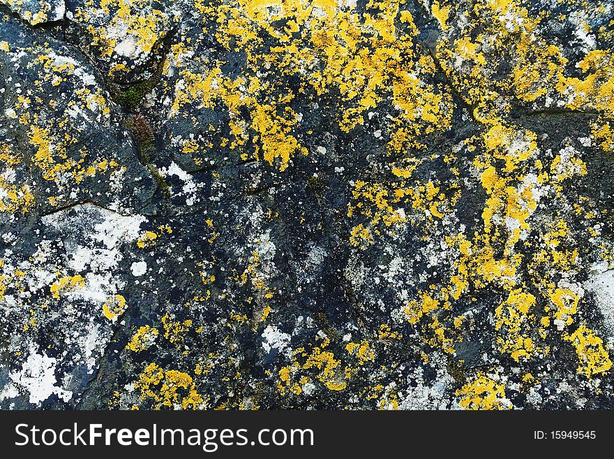 A sample of natural mountain rock texture. A sample of natural mountain rock texture