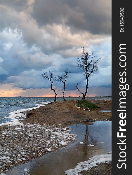 The cloudy sky and storm clouds, lonely tree costs on a wind. The cloudy sky and storm clouds, lonely tree costs on a wind