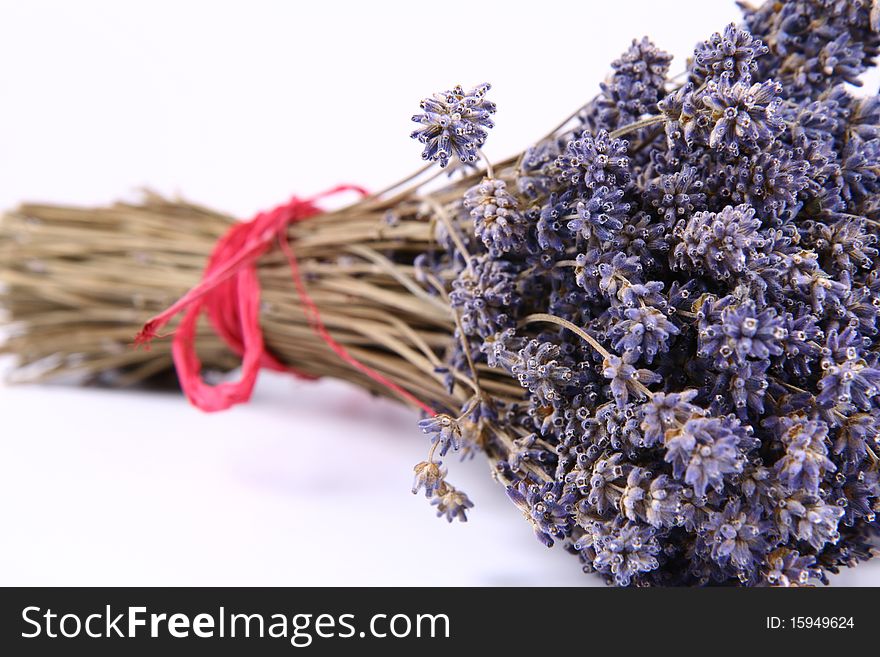 Bunch of dried lavender tied with a red string on white background