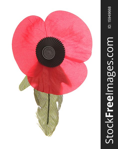 Remembrance poppy isolated studio cutout