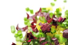 Chopped Spring Onion, Red Chard And Sweet Pepper Royalty Free Stock Photography Chopped Spring Onion, Red Chard And Sweet Pepper Royalty Free Stock Photography