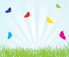 Floral Card With Butterfly Stock Image Floral Card With Butterfly Stock Image