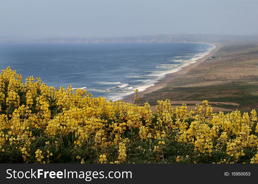 Picture represents the coastline of California (Point Reyes). Picture represents the coastline of California (Point Reyes)