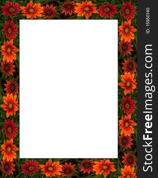 Autumnal frame composed of series of fall colored flowers in orange, rust, red and brown with greenery in background. Autumnal frame composed of series of fall colored flowers in orange, rust, red and brown with greenery in background.
