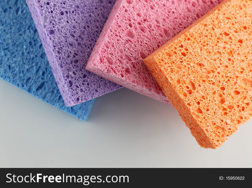 Sponges in four different colors