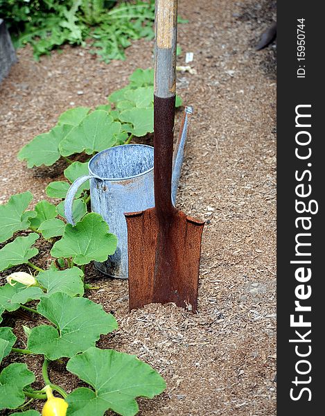 Flower and vegetable garden with surrounding tools.