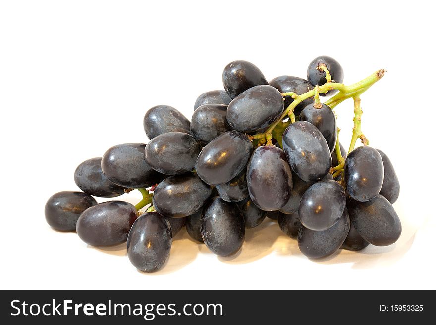 HIGH Resolution isolate bunch of Syrah Grapes