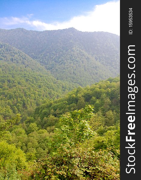 Summer In Tropical Mountains