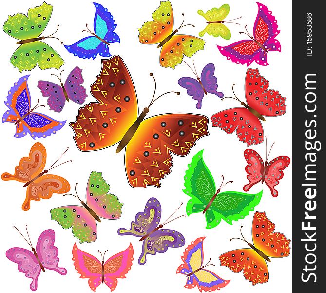 Collection of multi-colored butterflies