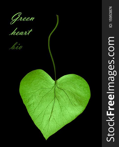 Heart From Leaf - Bio Concept
