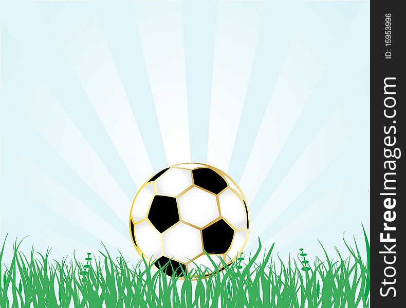 Soccer Ball On The Fresh Green Grass