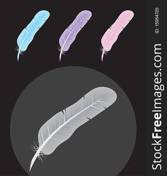 Multicolored vector feathers set