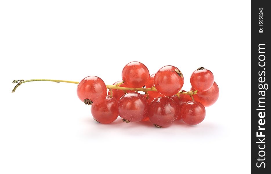 Beautiful Red currant isolated on white. Beautiful Red currant isolated on white.