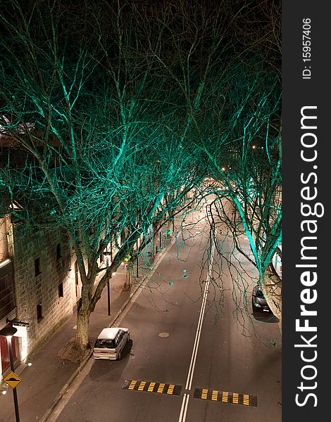 An empty urban street at night with illuminated green trees.