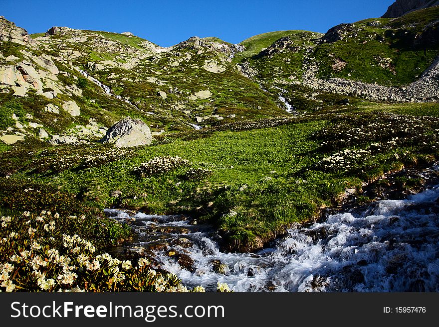 Valley With Spring In The Mountains