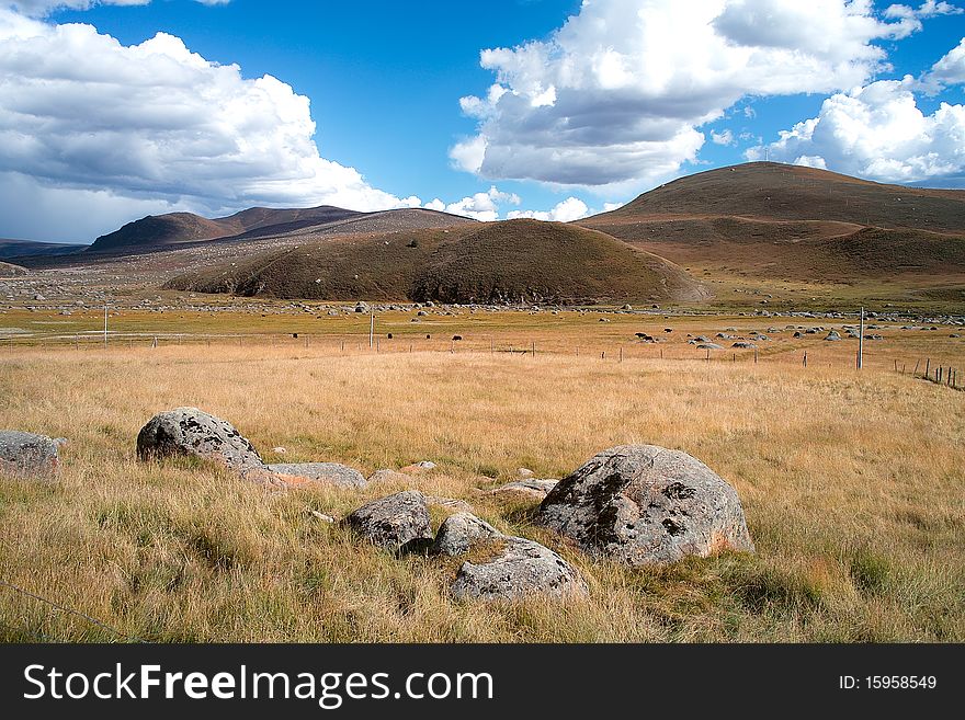 There is a beautiful pasture in highland,ganzi,sichuan.