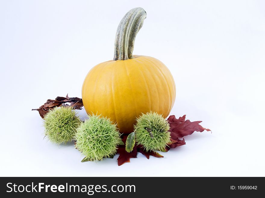 Seasonal orange pumpkin and green chestnut burrs rest on autumn leaves in a simple, seasonal still life