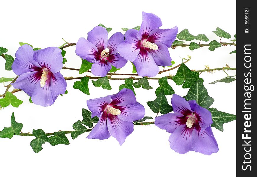 Floral decoration from hibiscus flowers