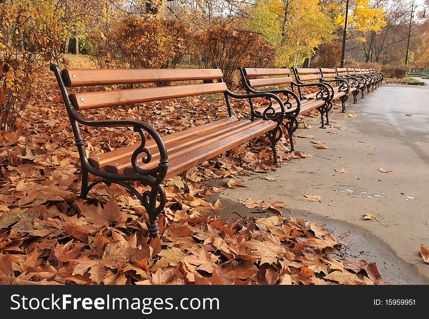 Park with iron bench in autumn. Park with iron bench in autumn