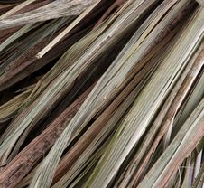 Close Up Of Hay Bale Royalty Free Stock Photo Close Up Of Hay Bale Royalty Free Stock Photo