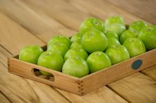 Apples Stock Photography Apples Stock Photography