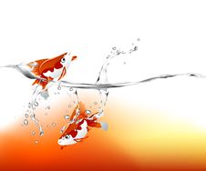 Goldfish Jumping Stock Photos Goldfish Jumping Stock Photos