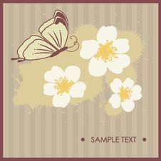 Floral Card With Butterfly Royalty Free Stock Photography Floral Card With Butterfly Royalty Free Stock Photography