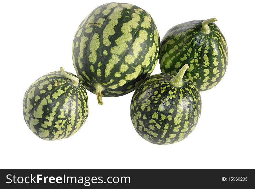 Four green small watermelons on white