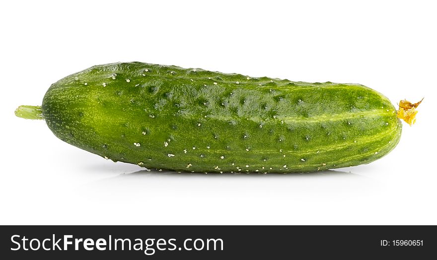 Green fresh cucumber macro shot isolated over white background. Green fresh cucumber macro shot isolated over white background