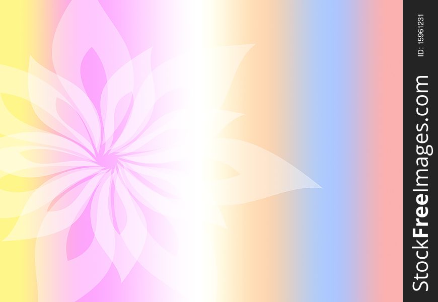 Colored background with white flower