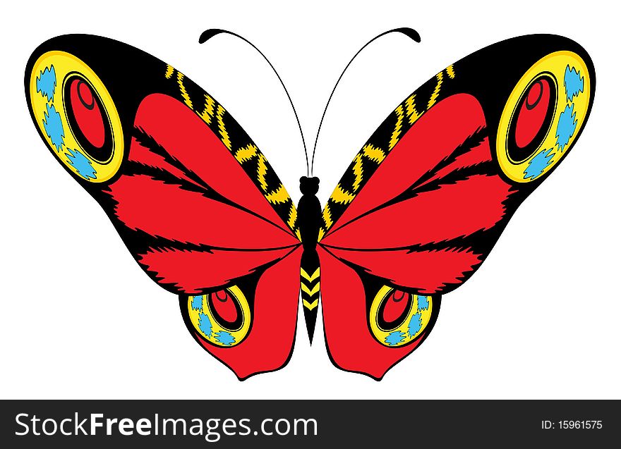 beautiful butterfly on a white background for a design