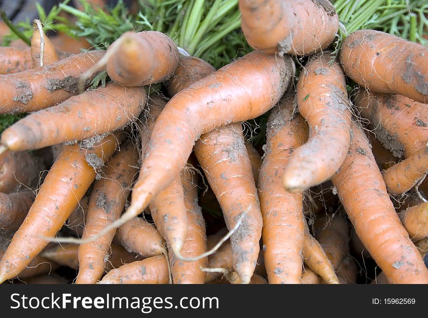 Shot of pile of carrots at french market