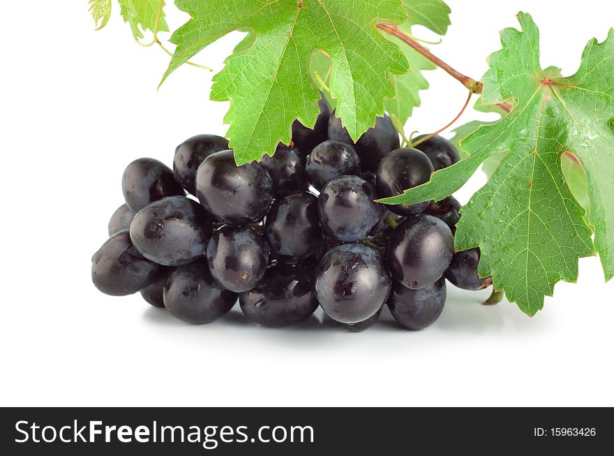 Blue grape isolated on white background. Blue grape isolated on white background