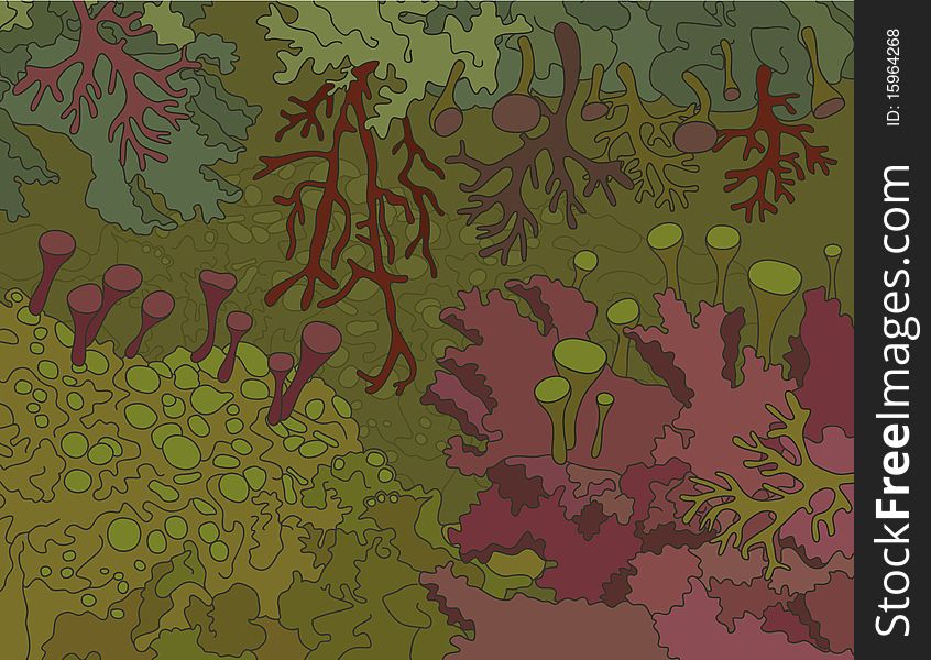 Illustration of magic mosses and lichens background.