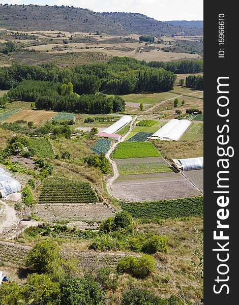 Cultivated land in a rural landscape, Brihuega, Spain